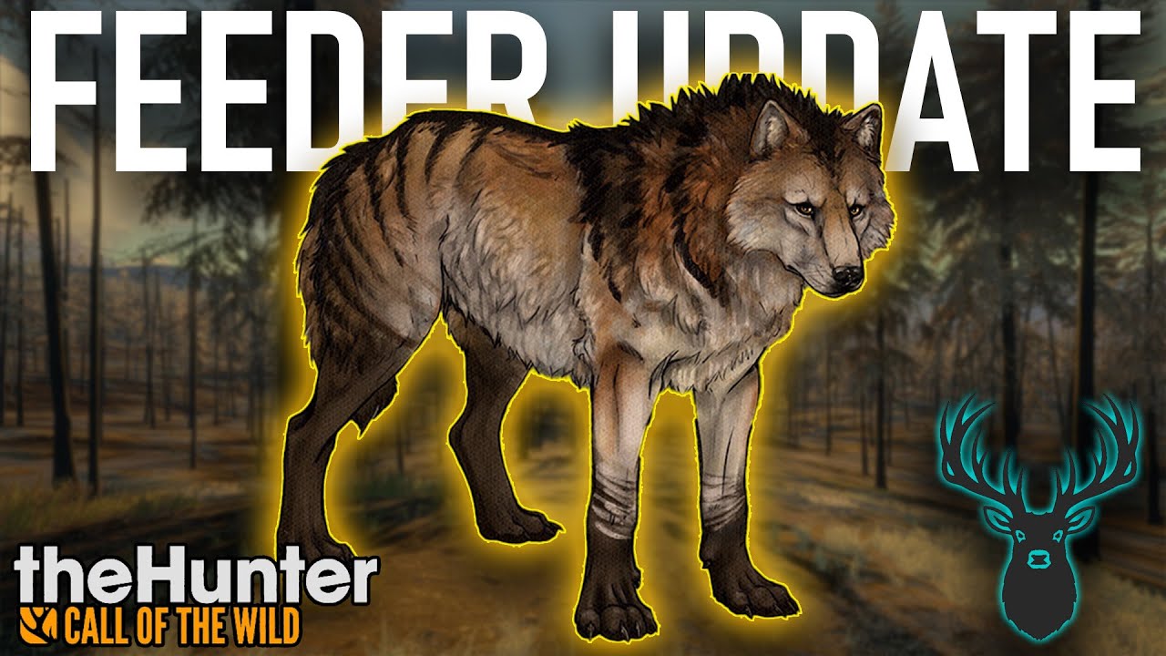 The Feeder Update | theHunter Cotw