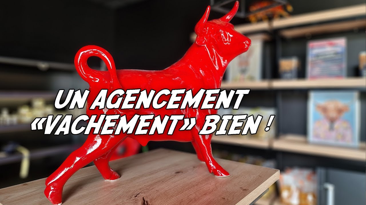 AGENCEMENT DU MAGASIN DE LA BOUCHERIE D'EN SARDA A SEGREVILLE (31)