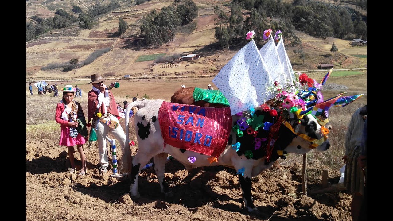 WAKA FIESTA en Colomi Bolivia - San Isidro Labrador