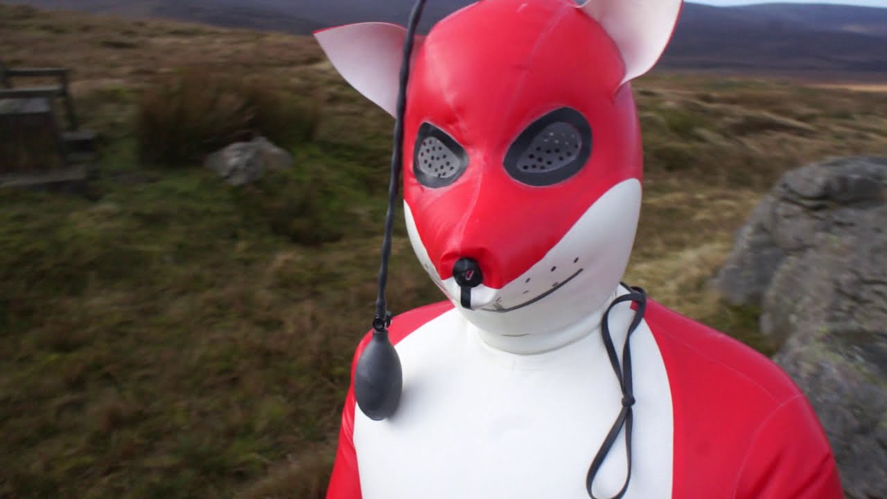 Rubber Foxy on his first (brief) outing.
