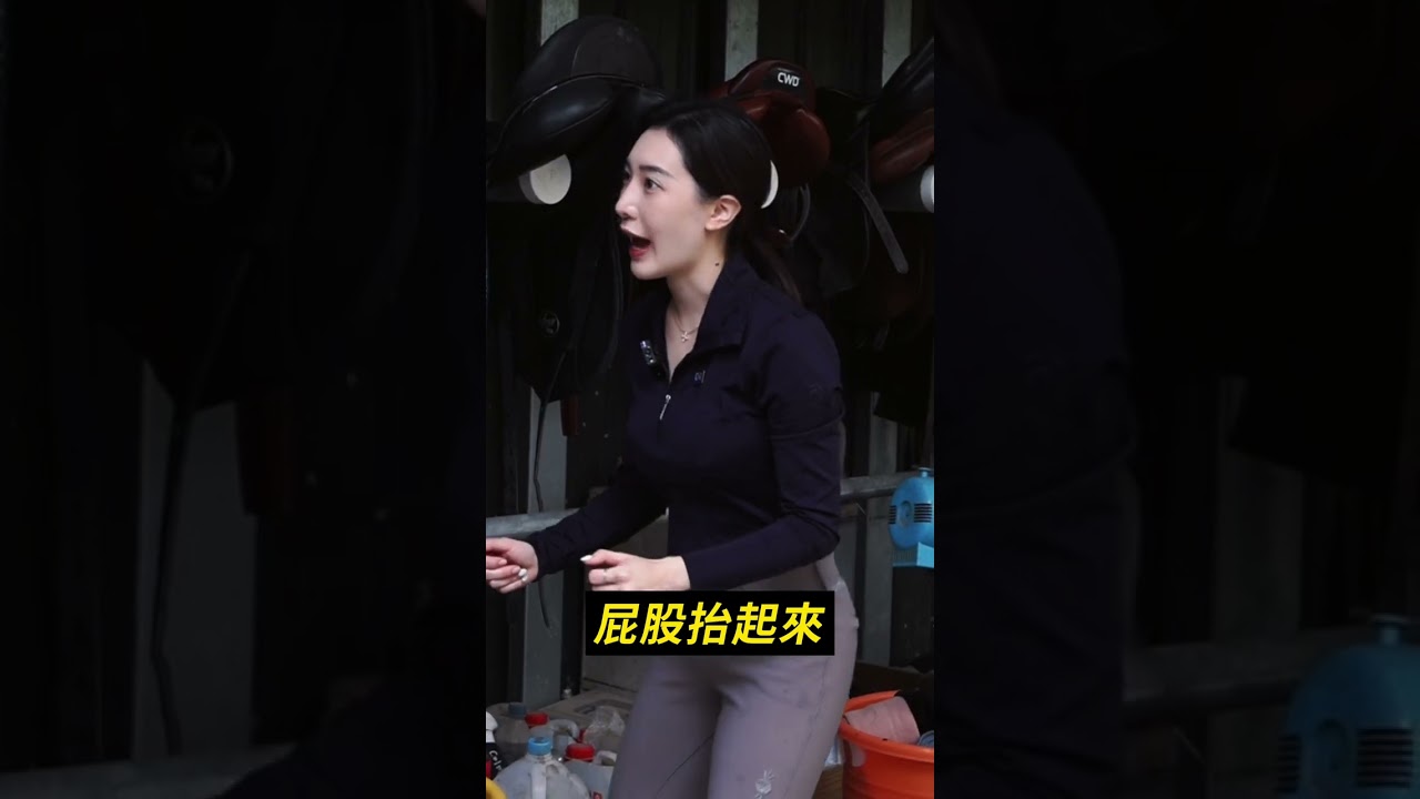馬鞍的種類有哪些