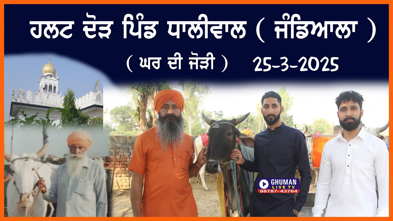 HALT RACE // DHALIWAAL // ਹਲਟ ਦੌੜ // ਪਿੰਡ ਧਾਲੀਵਾਲ // ਜੰਡਿਆਲਾ // 25-3-2025