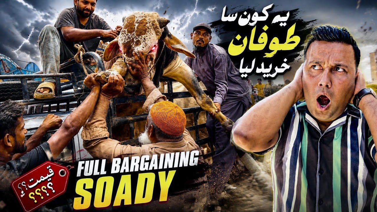🔥 Ye Kon Sa Toofan Kharid Liya 😱 | Full Bargaining SoaDy | Dangerous Bull Deal