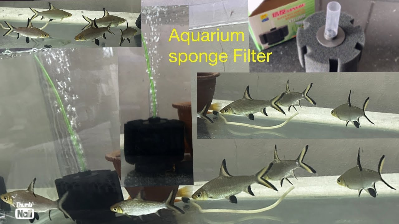 xINYOU XY-280 | super biochemical sponge filters | Amazon | most economic al and pocket friendly fil