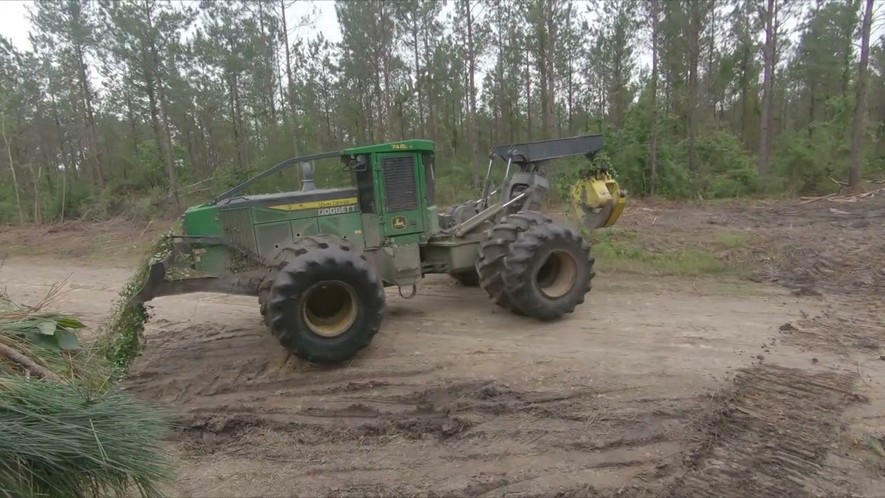 Harvesting Hard Wood Pulpwood From a Pine Second Thinning