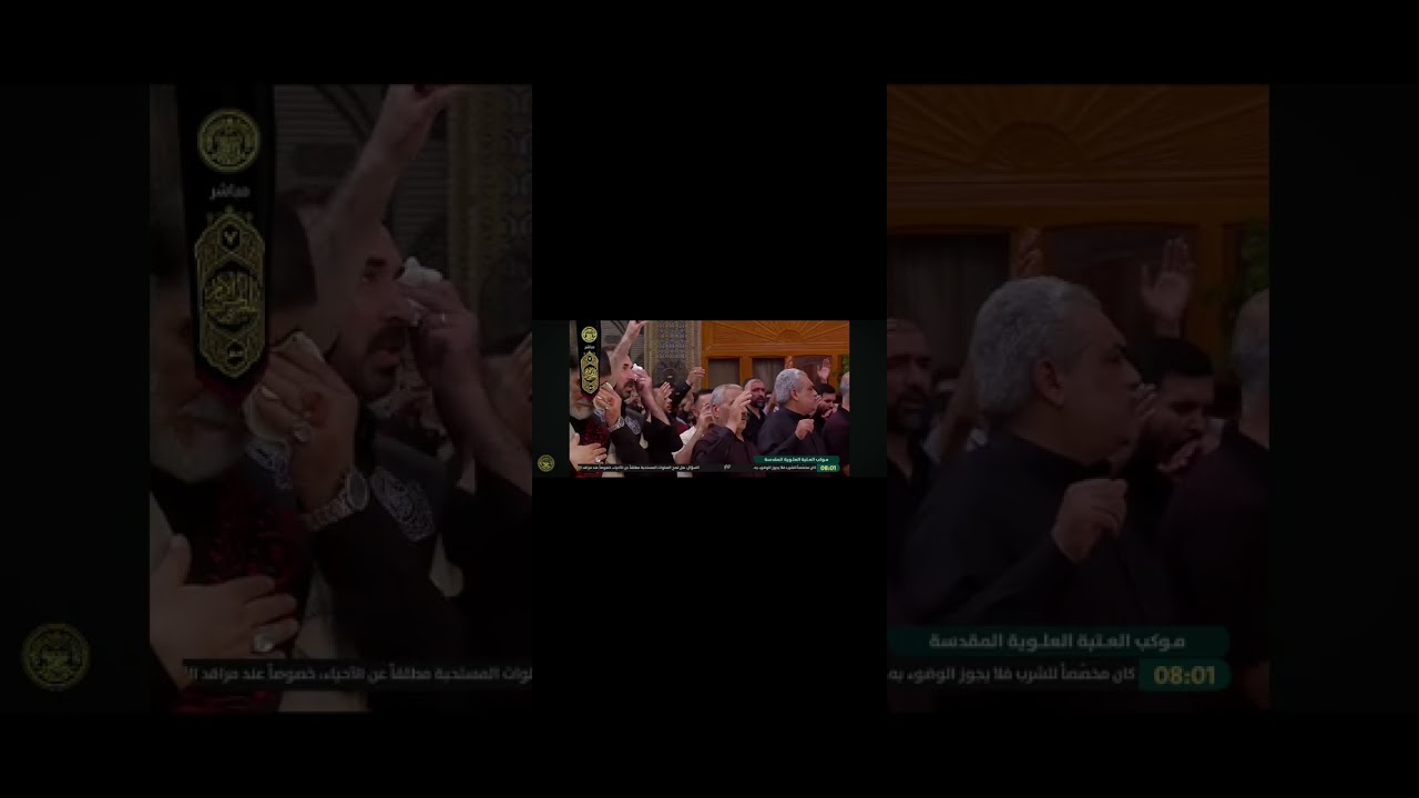لطم بحق الحسن المجتبى  الرادود حيدر الجبوري