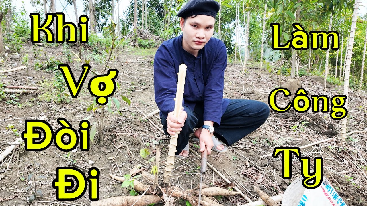 Tiểu phẩm : Khi Vợ đòi đi làm công ty 🌸Chị Em Song Mỷ🌸