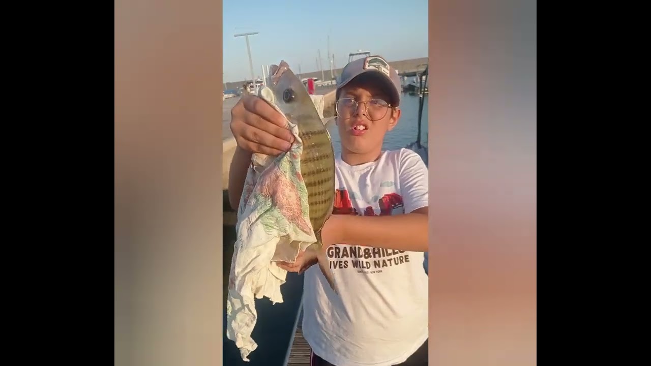 Fishing Bread al porto