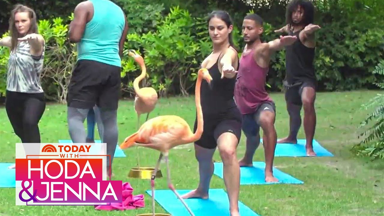 Donna Farizan Tests Out The New Travel Trend Of Wellness Hotels