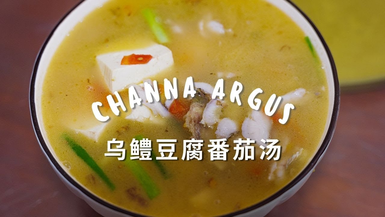 乌鳢豆腐番茄汤Tofu Tomato Soup