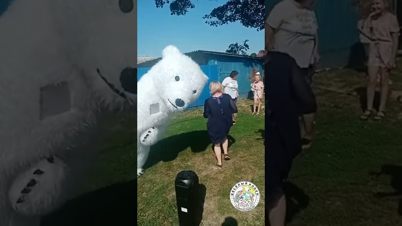 Поздравление от белого медведя в Гомеле, Речице, Ветке, Добруше.