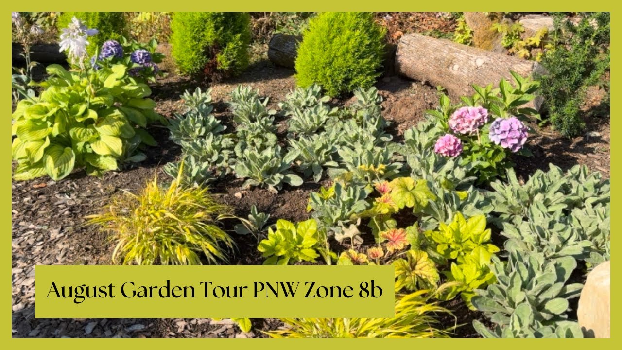 August Garden Tour in PNW Zone 8b | Late Summer Garden Highlights and Future Plans