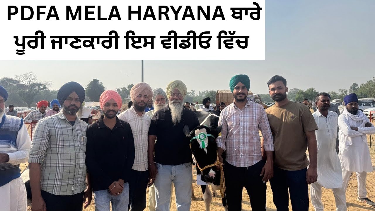 PDFA HARYANA MELA & COMPETITION CATAGORY DATES & DETAILS | AULAKH DAIRY FARM | RAMPURA PHUL |