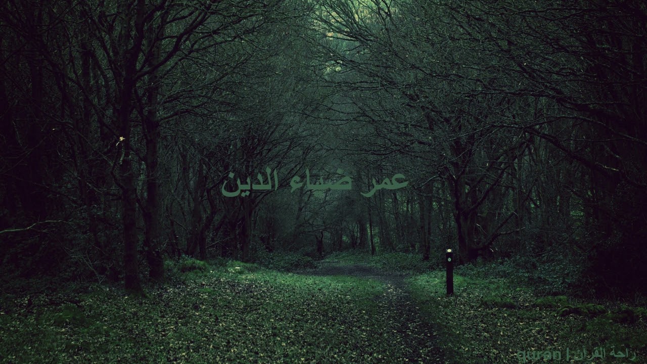 سورة الذاريات بدون مؤثرات للقارئ عمر ضياء الدين🤍🎧