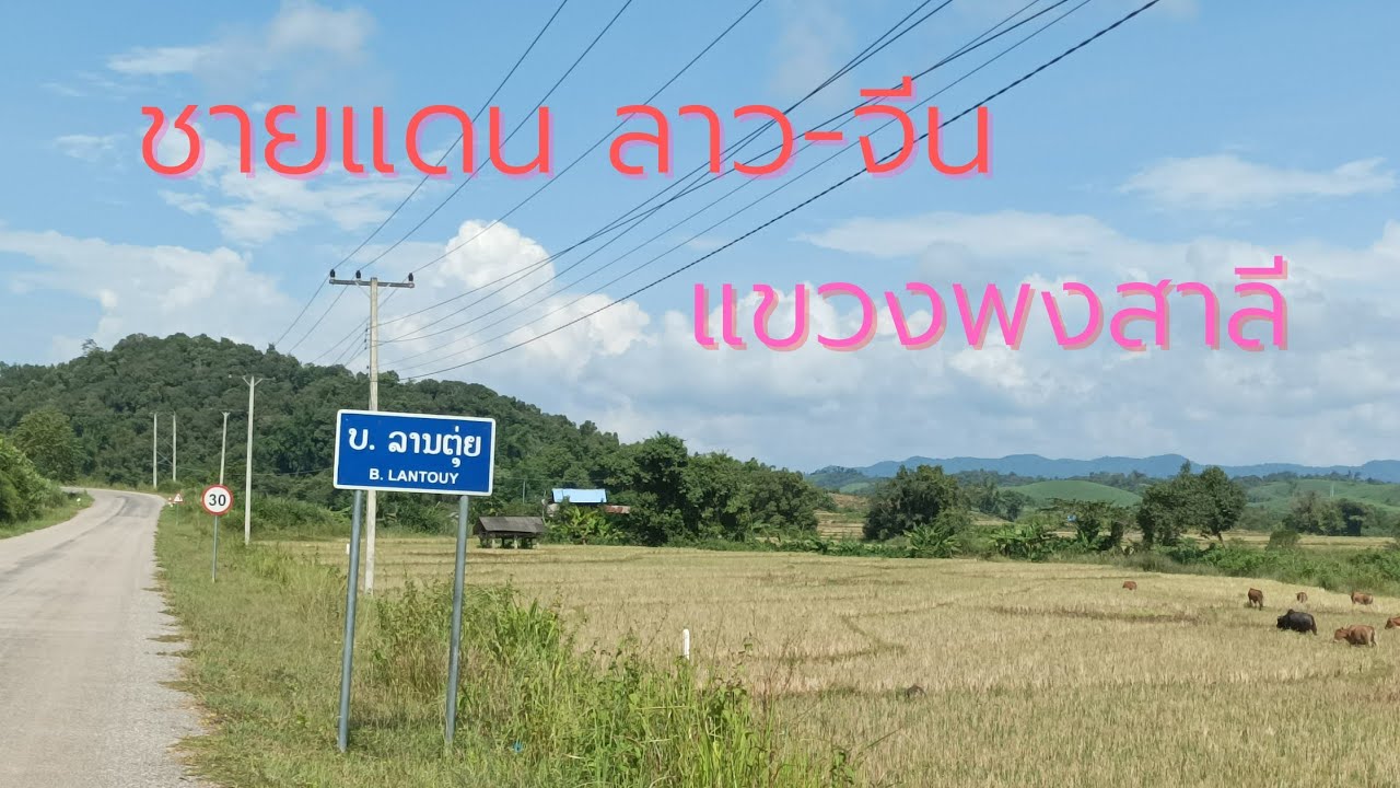 Laos :ชายแดนลาว-จีน แขวงพงสาลี l วิวสวย ไร่ชาอลังการ l ซื้อขนมแจกเด็กน้อยที่อูเหนือ