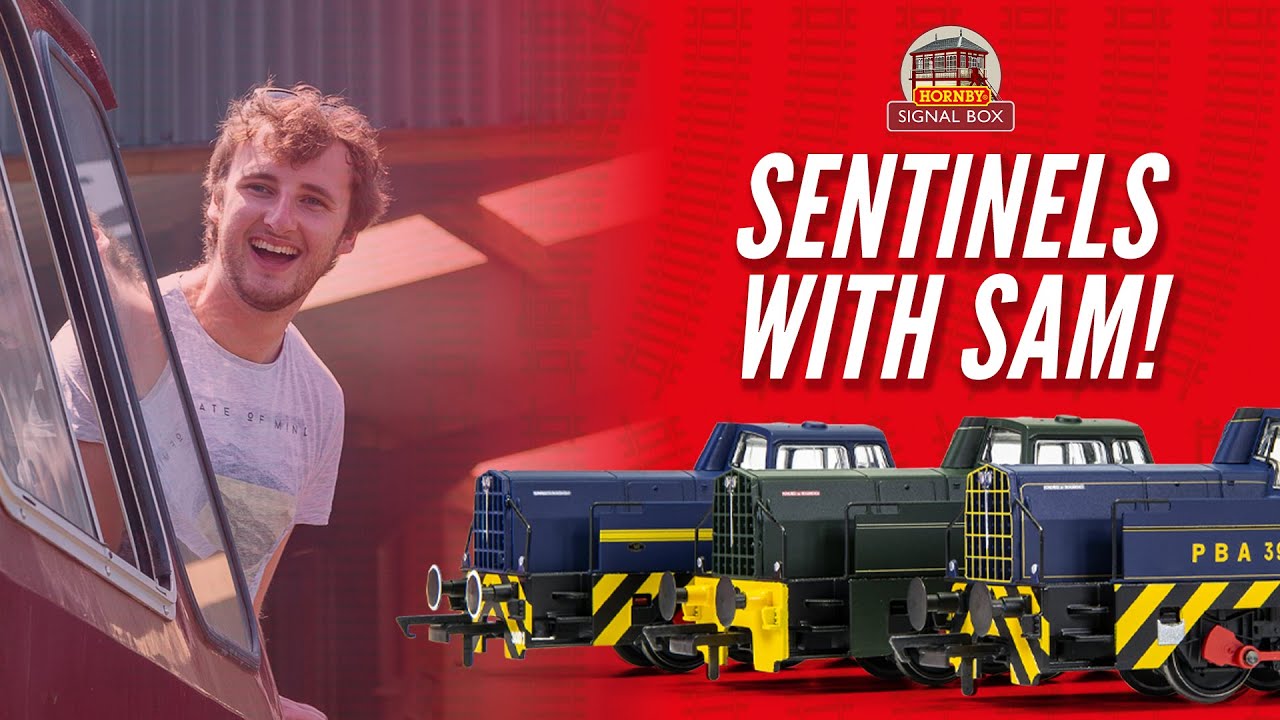 Sentinels with Sam!