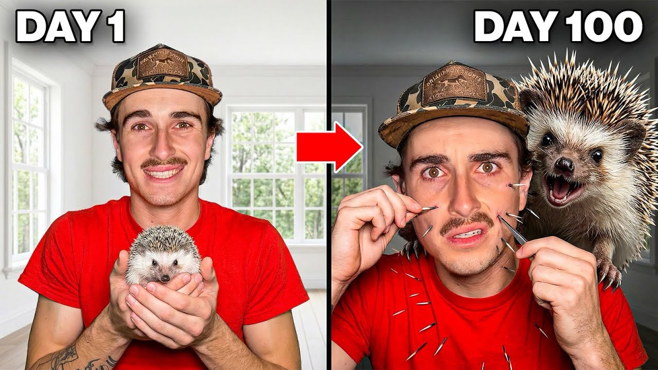 I Raised a Hedgehog! (100 Day Evolution)