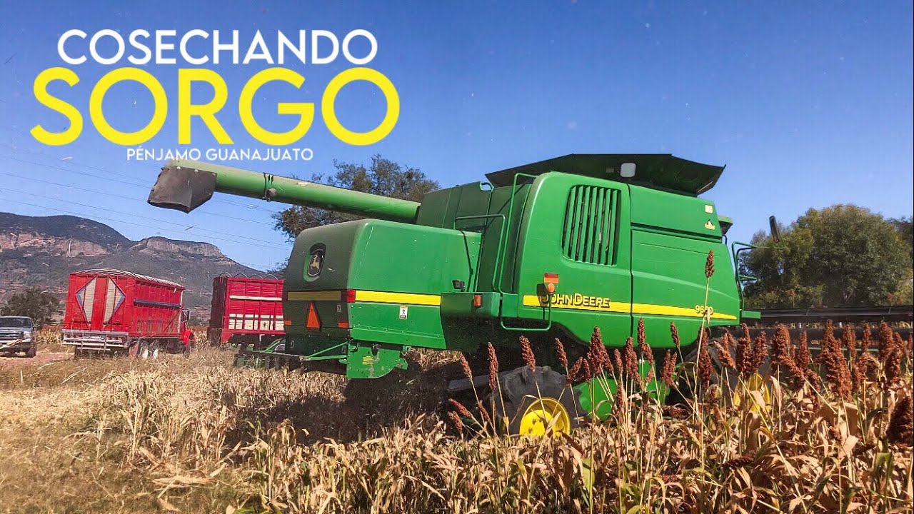 Cosechando Sorgo/John Deere 9650 |Pénjamo Guanajuato, VILLA RANCH