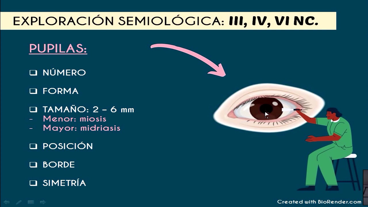 Exploración semiológica de III, IV, y VI Nervios Craneales (oculomotores)