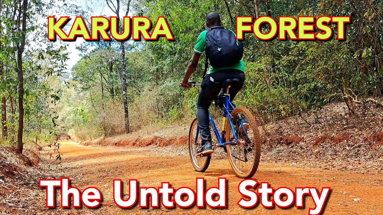 Discovering the SECRETS of Karura Forest Nairobi 🇰🇪