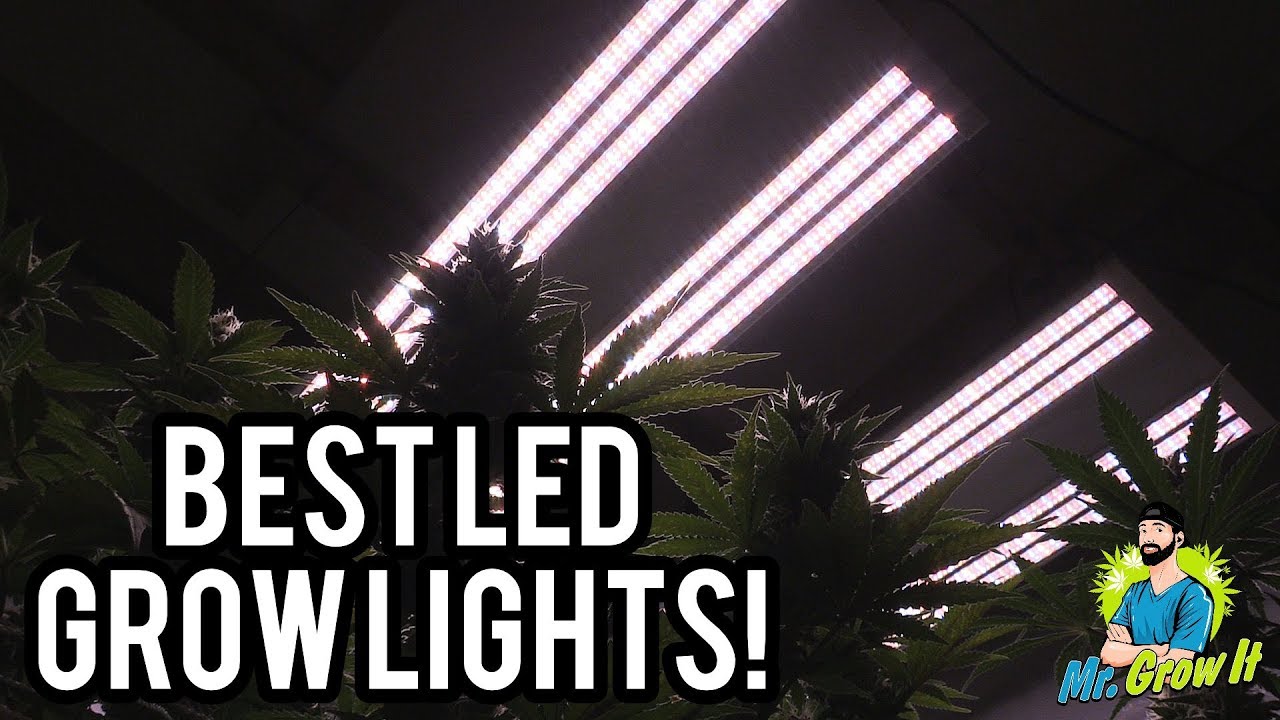 BEST LED GROW LIGHTS 2019! - 4X4 COVERAGE AREA