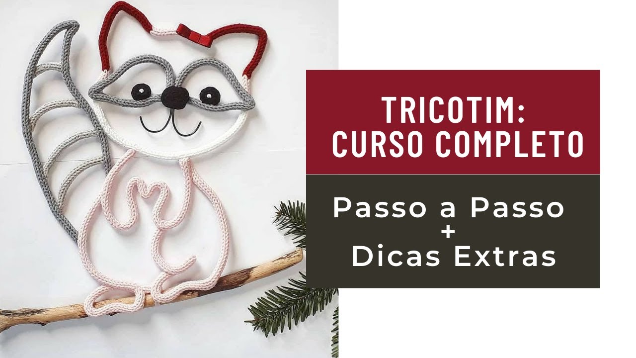 Aprenda Tricotin Passo a Passo [Curso Completo]