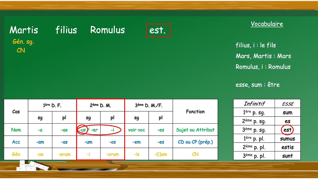 Comment traduire une phrase simple   nominatif - accusatif et génitif