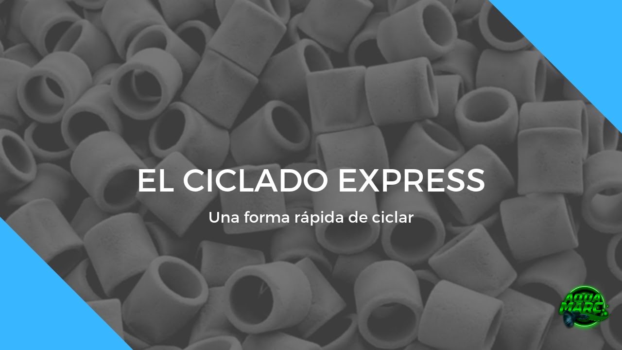 ⚪️ EL CICLADO EXPRESS || Una forma r&aacute;pida de ciclar