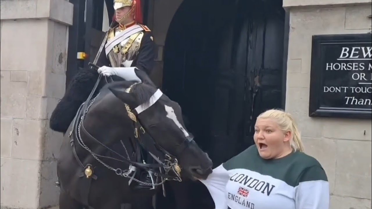THE VERY VERY BEST BEST OF ORMONDE COMPILATION VIDEO #kingsguard 