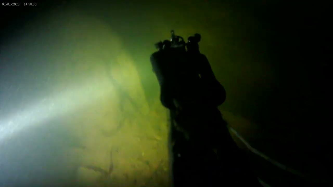 11 de febrero de 2026