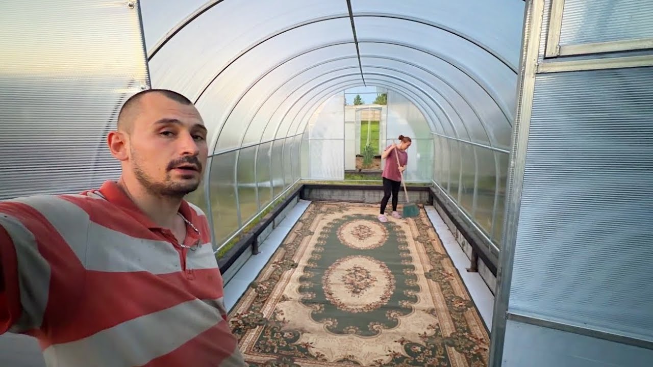 Зачем мы это делаем? Теплица готова. Пришло время все поменять. Строим дом в деревне своими руками.