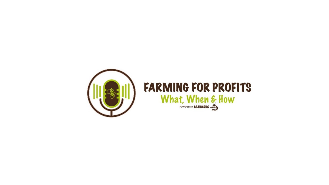 RAIN FED FARMING