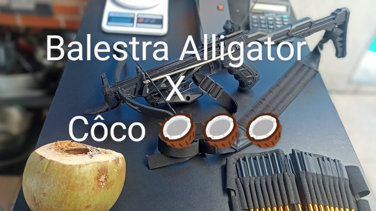 Balestra Alligator 80lbs vs Côco Verde