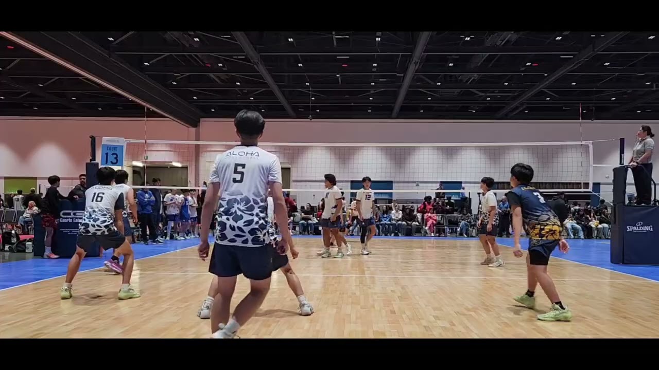 Princeton Deng #16 - 2025 Fall 2 - Aloha 16 Blue