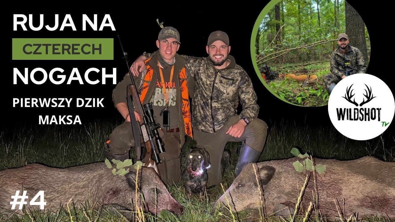 #4 Ruja na czterech nogach i pierwszy dzik Maksa