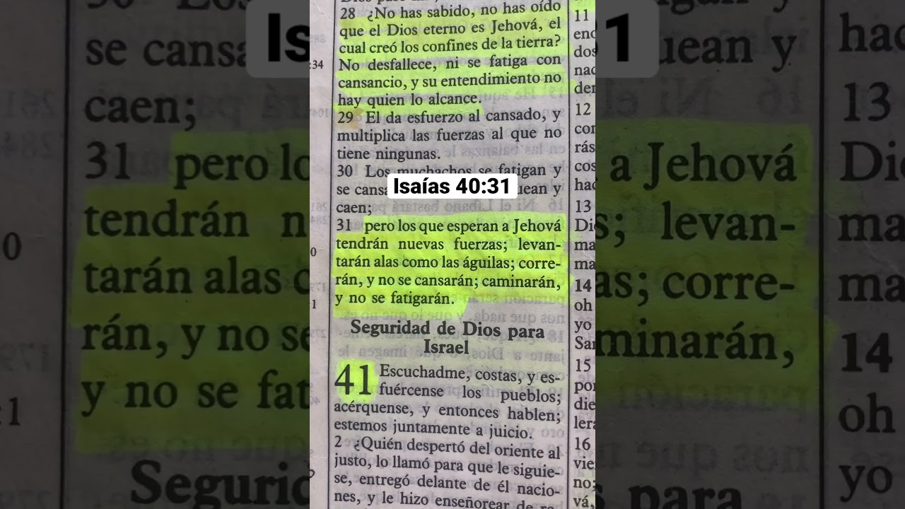 Isa&iacute;as 40:31  pero los que esperan a Jehov&aacute; tendr&aacute;n nuevas fuerzas. 🙌