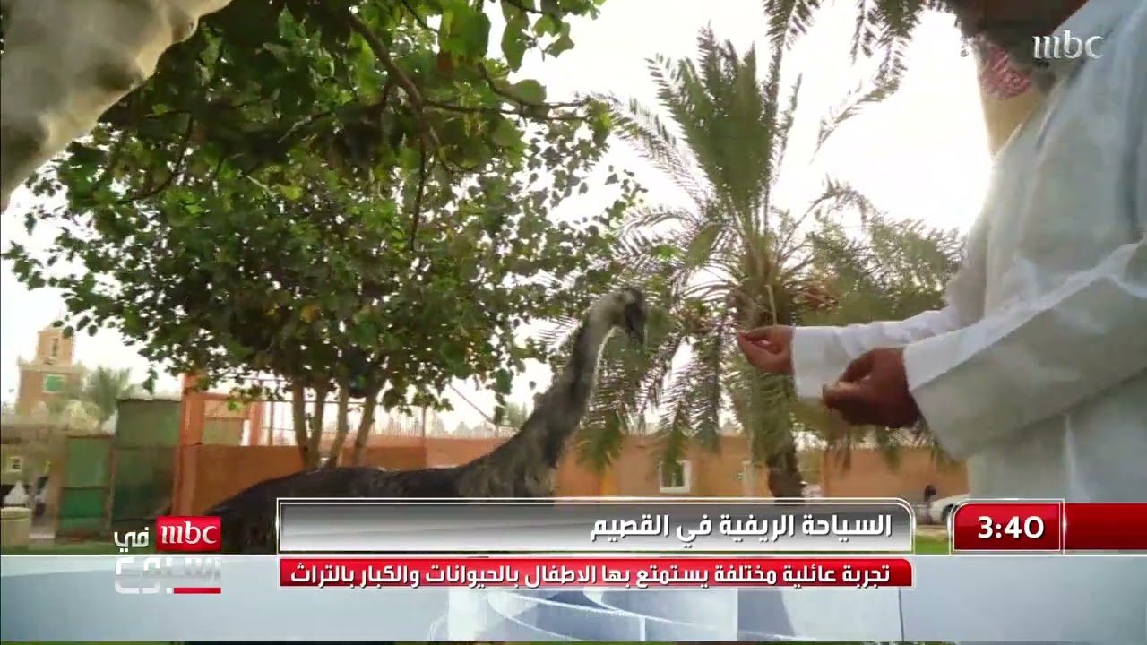 النزل الريفي عنيزة 0554202404