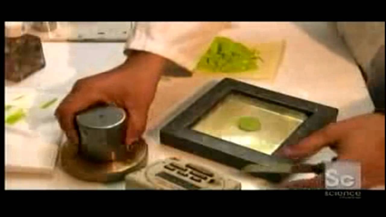 كيف تصنع الالوان الزيتية