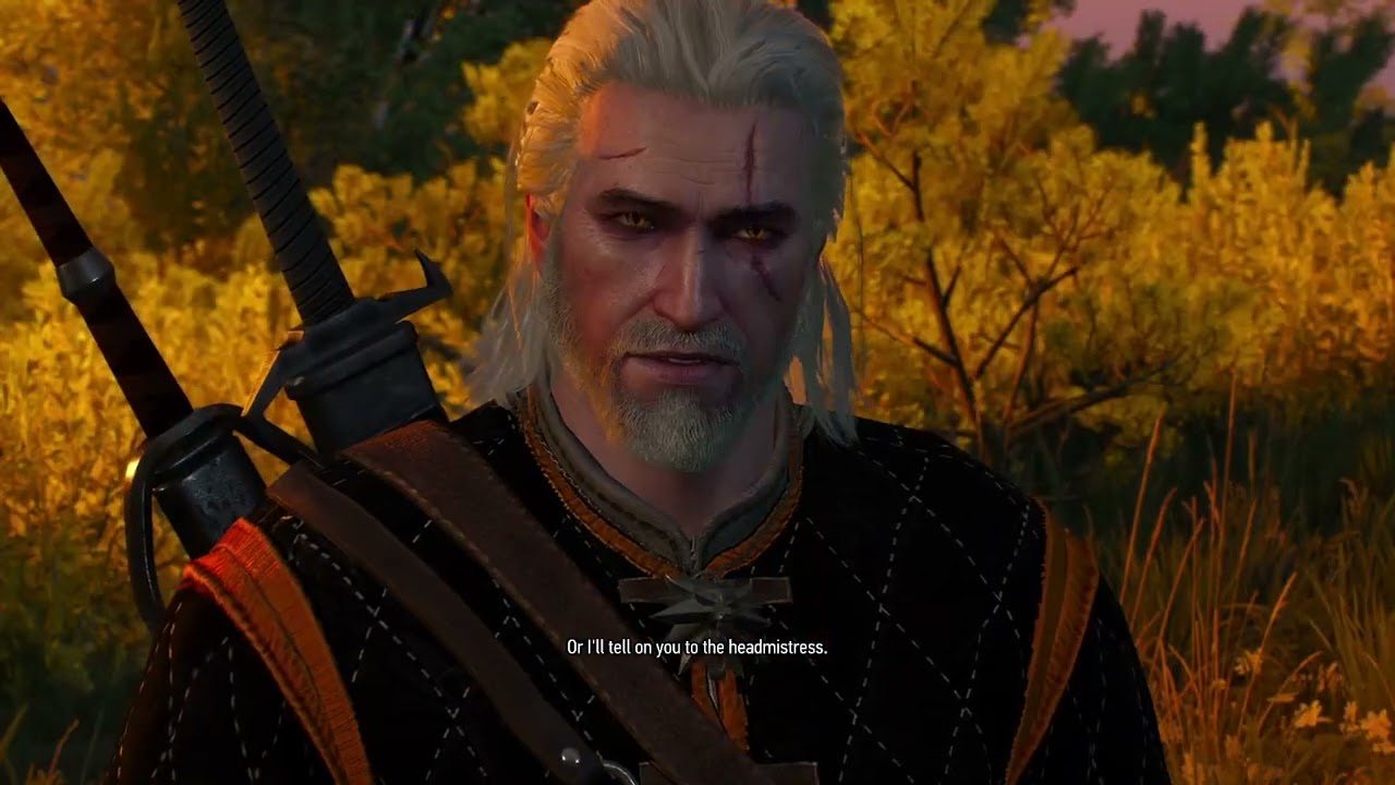 Witcher 3 - Velen Contracts and Witches