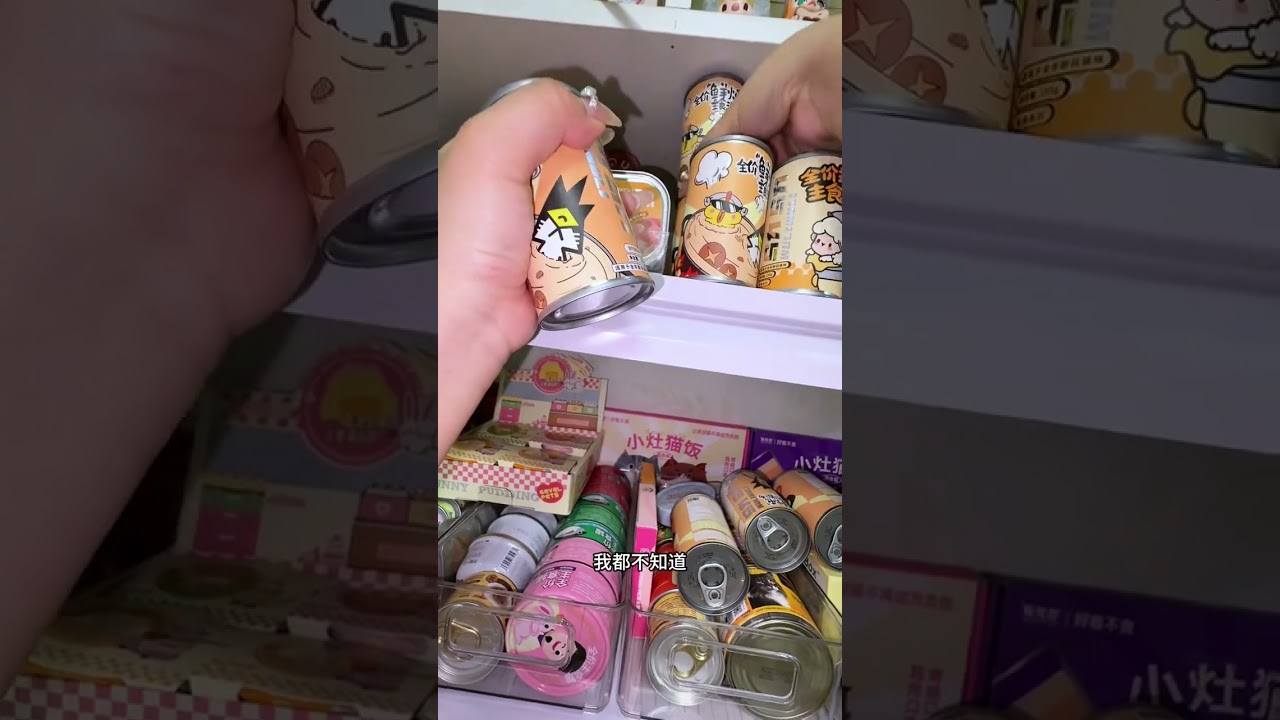 Vlog.80 _ 雙貓家庭月度碎嘴收納！#收納#養貓vlog