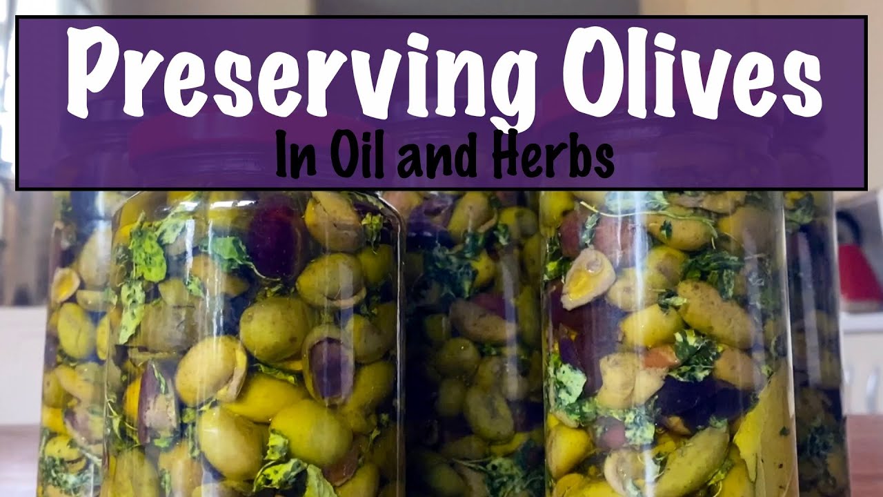 Preserving Freshly Picked Olives in Oil and Herbs