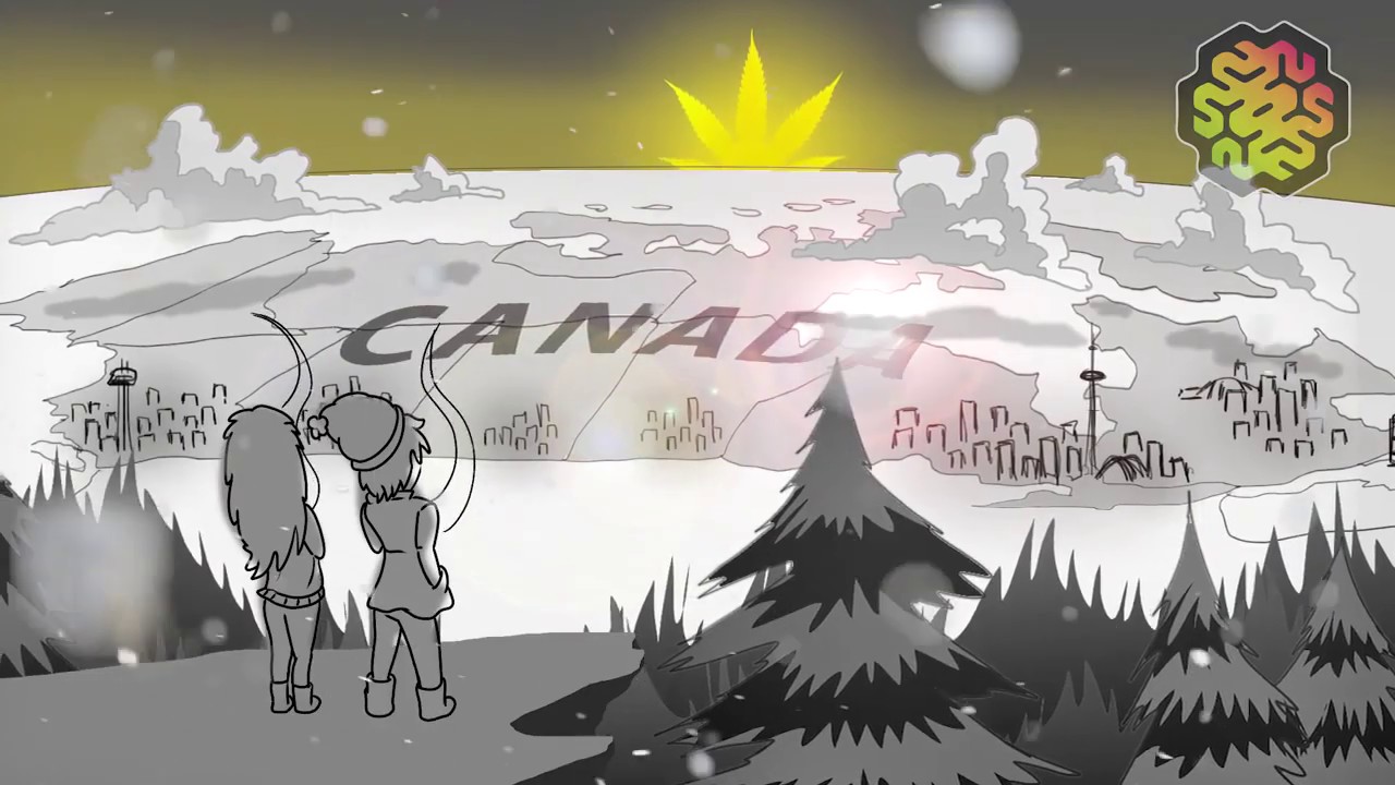 Canada legalizes cannabis! - ANIMATION