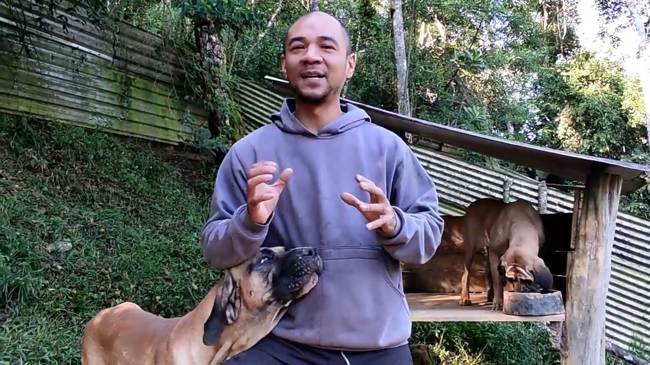 FERIADO NA CHÁCARA alimentação tipos caninos historia Fila brasileiro PROMOÇÃO FILHOTES parcerias