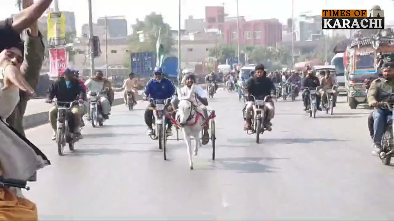 Donkey Cart Race in Karachi: Sartaj Wins on Quaid-e-Azam Day! | 25 December | Quaid e Azam Birthday