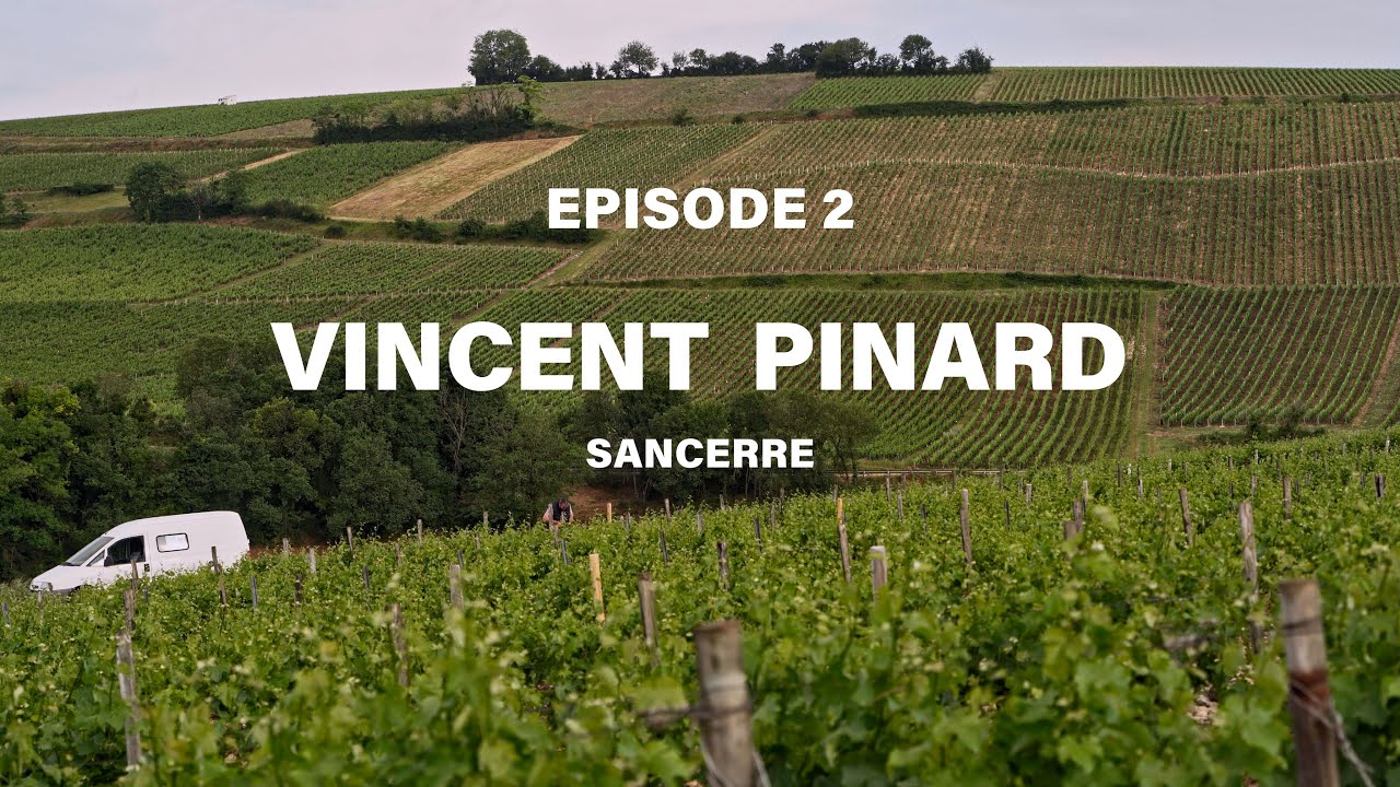 Episode 2 : Domaine Vincent Pinard à Sancerre.