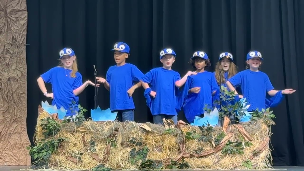 CT 3rd grade play “Wing It” featuring Jared as Wilbur! Feb 19 2026