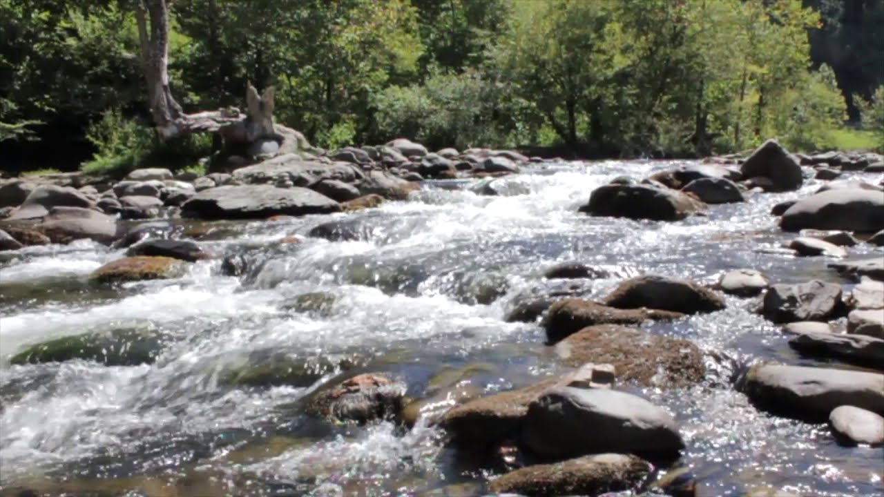 #Forest Beautiful running water flow views