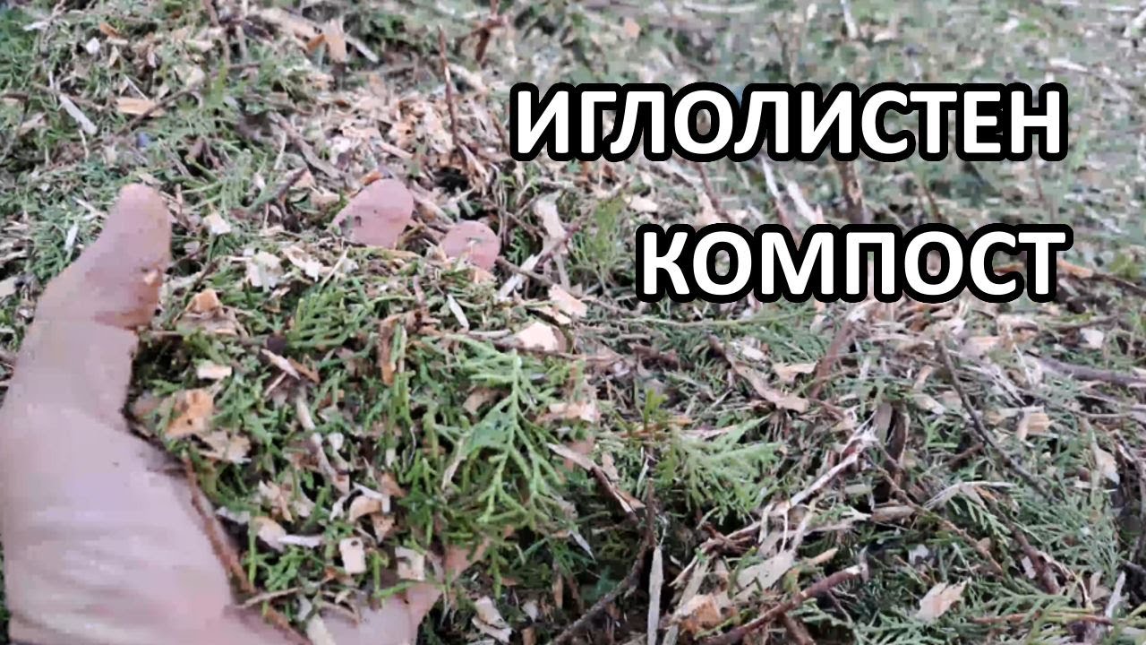 Компостиране на иглолистна дървесина / Tony's permaculture garden
