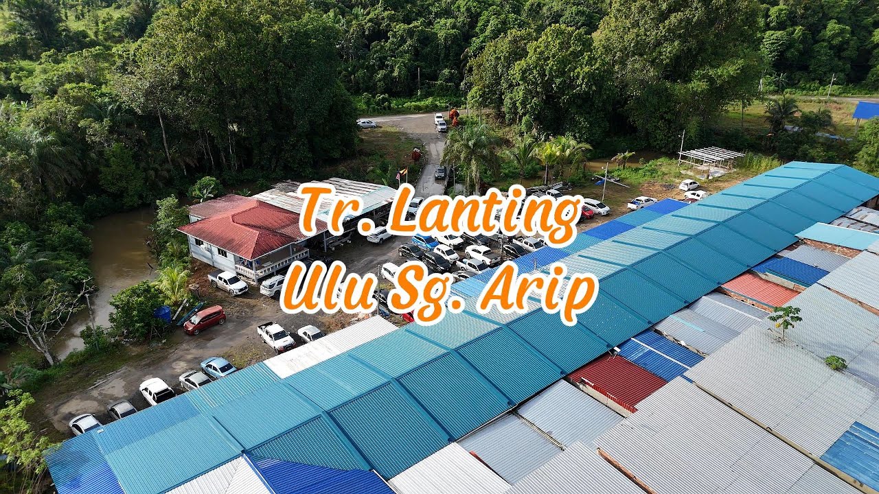Tr. Lanting, Ulu Sungai Arip// Pengawa Rami Melah Pinang 2025