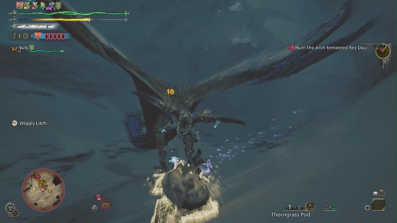Mh Wilds at ray 2 victory